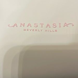Pink Anastasia Beverly hill make up bag. New new